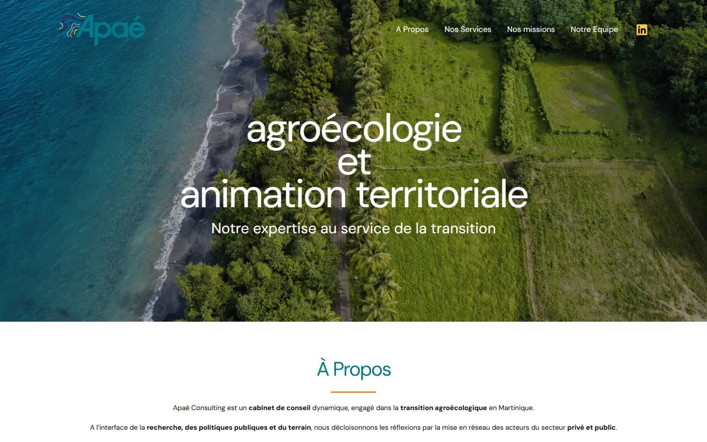 Page d’accueil du site APAE sur ordinateur