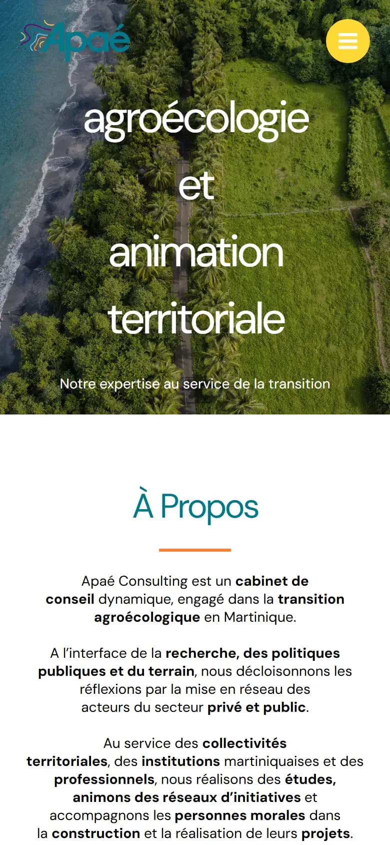 Page d’accueil du site APAE sur mobile