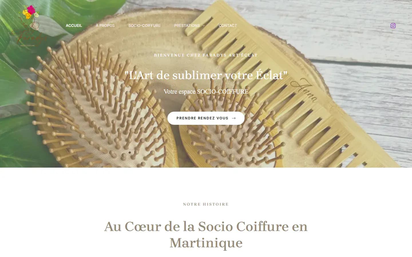 Page d’accueil du site Faradys sur ordinateur